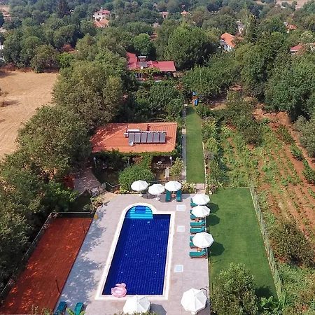 Hotel Pyramid Boutique