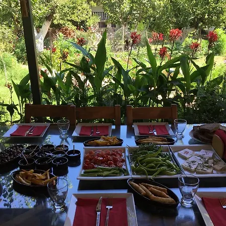 Hotel Pyramid Boutique