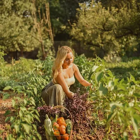 Ξενοδοχείο Pyramid Boutique *